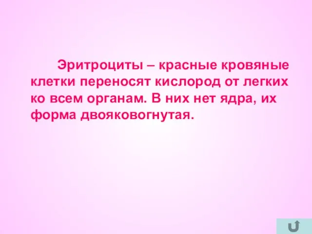 Эритроциты – красные кровяные клетки переносят кислород от легких ко всем