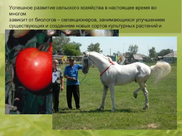 Успешное развитие сельского хозяйства в настоящее время во многом зависит от