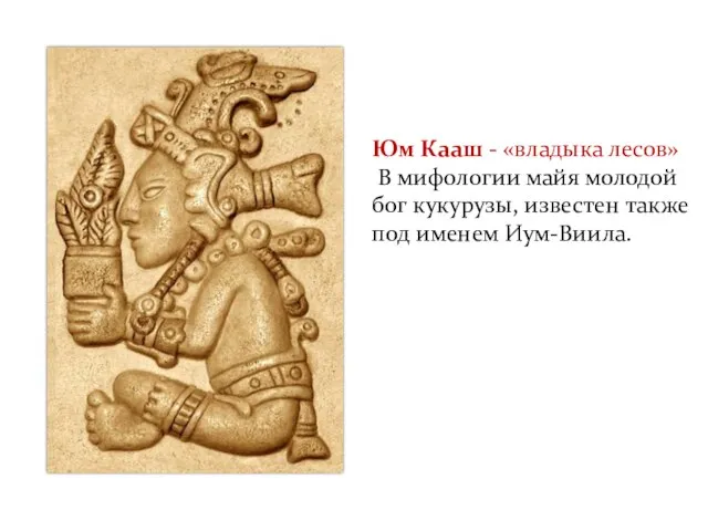 Царство растений Юм Кааш - «владыка лесов» В мифологии майя молодой