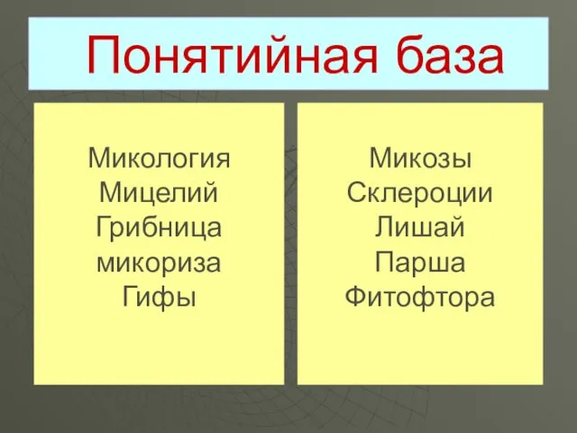 Понятийная база Микология Мицелий Грибница микориза Гифы Микозы Склероции Лишай Парша Фитофтора