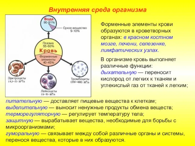 Внутренняя среда организма питательную — доставляет пищевые вещества к клеткам; выделительную