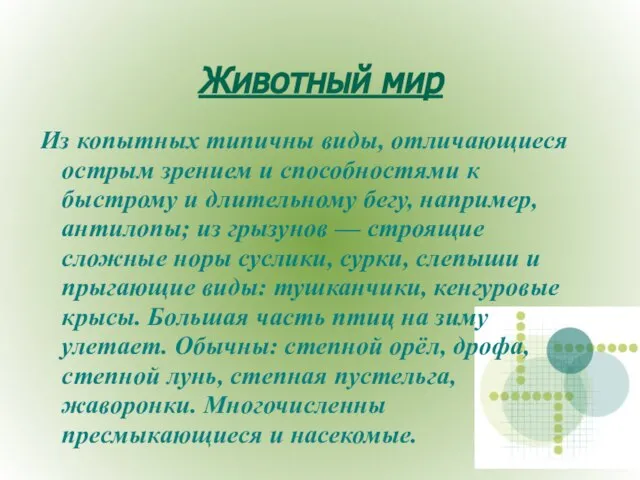 Животный мир Из копытных типичны виды, отличающиеся острым зрением и способностями