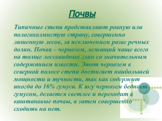 Почвы Типичные степи представляют ровную или пологохолмистую страну, совершенно лишенную лесов,