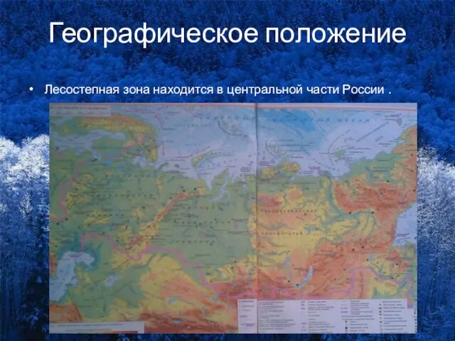 Географическое положение Лесостепная зона находится в центральной части России .