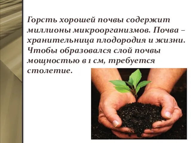 Горсть хорошей почвы содержит миллионы микроорганизмов. Почва – хранительница плодородия и
