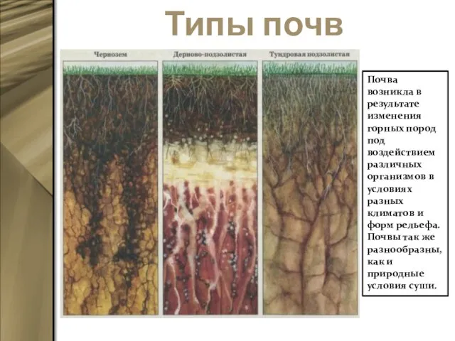 Типы почв Почва возникла в результате изменения горных пород под воздействием