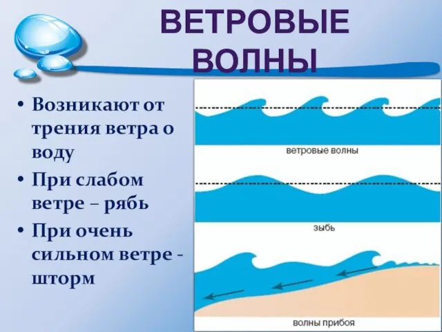 ВЕТРОВЫЕ ВОЛНЫ Возникают от трения ветра о воду При слабом ветре