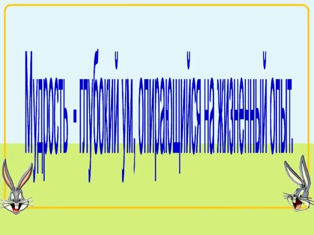 Мудрость - глубокий ум, опирающийся на жизненный опыт.