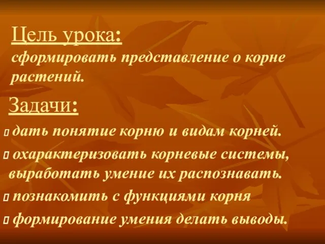 Цель урока: сформировать представление о корне растений. Задачи: дать понятие корню