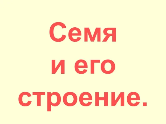 Семя и его строение.