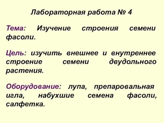 Лабораторная работа № 4 Тема: Изучение строения семени фасоли. Цель: изучить