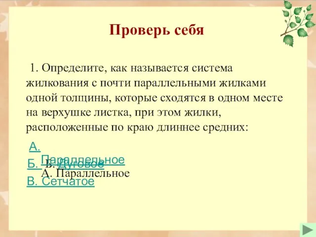 Проверь себя 1. Определите, как называется система жилкования с почти параллельными