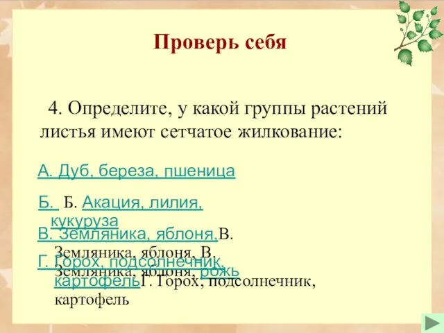 Проверь себя 4. Определите, у какой группы растений листья имеют сетчатое