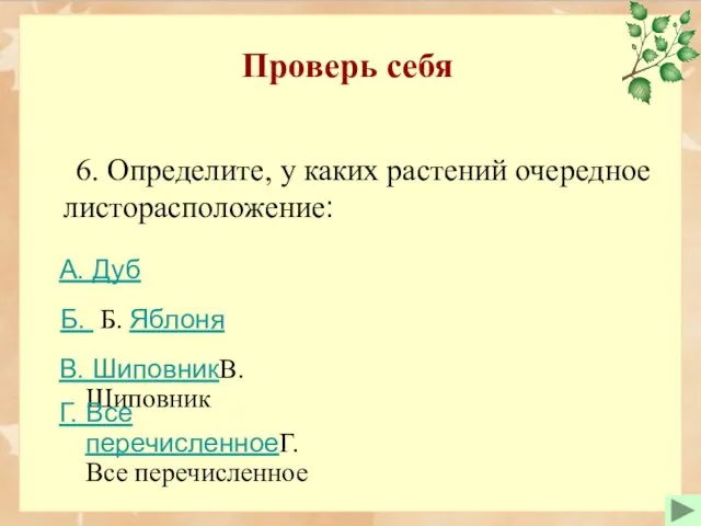 Проверь себя 6. Определите, у каких растений очередное листорасположение: Б. Б.