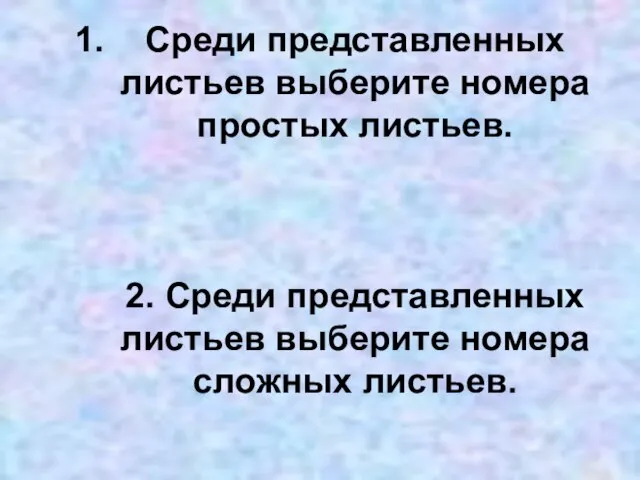 Среди представленных листьев выберите номера простых листьев. 2. Среди представленных листьев выберите номера сложных листьев.