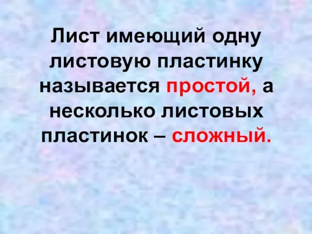 Лист имеющий одну листовую пластинку называется простой, а несколько листовых пластинок – сложный.