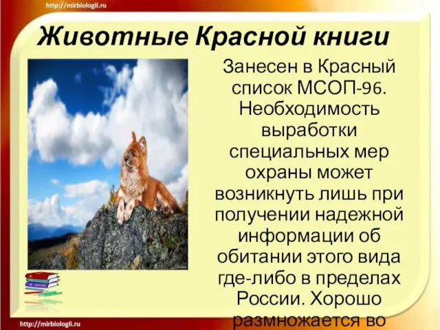 Животные Красной книги Занесен в Красный список МСОП-96. Необходимость выработки специальных