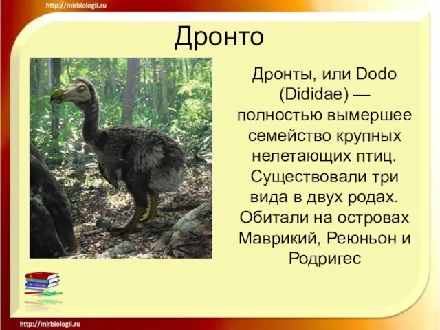 Дронто Дронты, или Dodo (Dididae) — полностью вымершее семейство крупных нелетающих