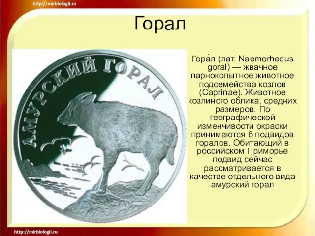 Горал Гора́л (лат. Naemorhedus goral) — жвачное парнокопытное животное подсемейства козлов