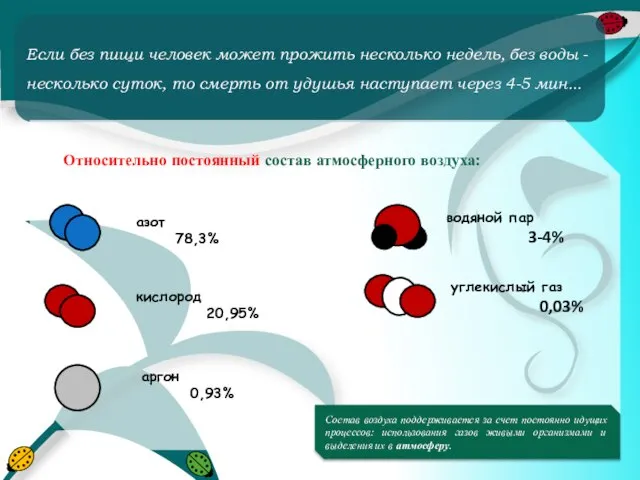 Если без пищи человек может прожить несколько недель, без воды -