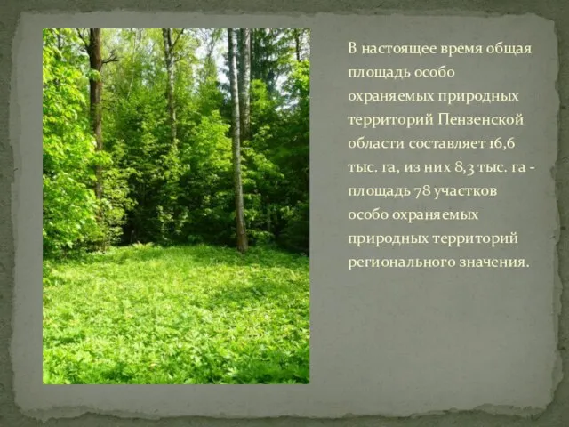 В настоящее время общая площадь особо охраняемых природных территорий Пензенской области