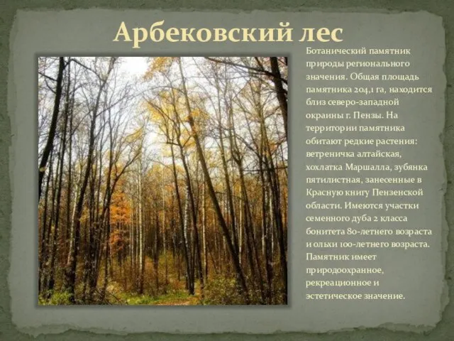 Арбековский лес Ботанический памятник природы регионального значения. Общая площадь памятника 204,1