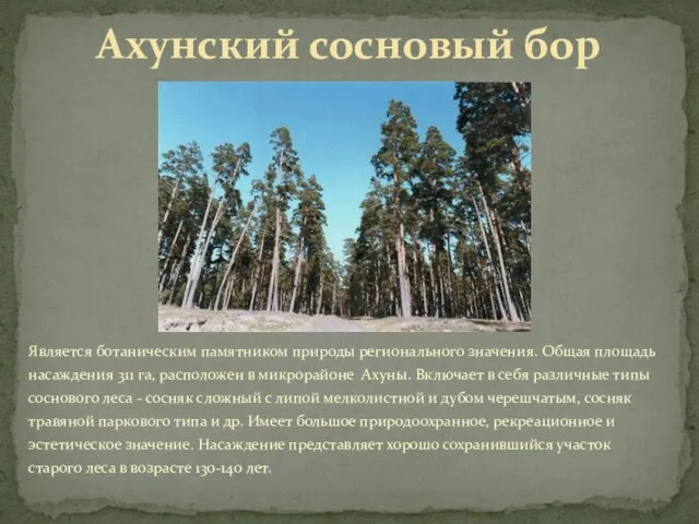 Является ботаническим памятником природы регионального значения. Общая площадь насаждения 311 га,