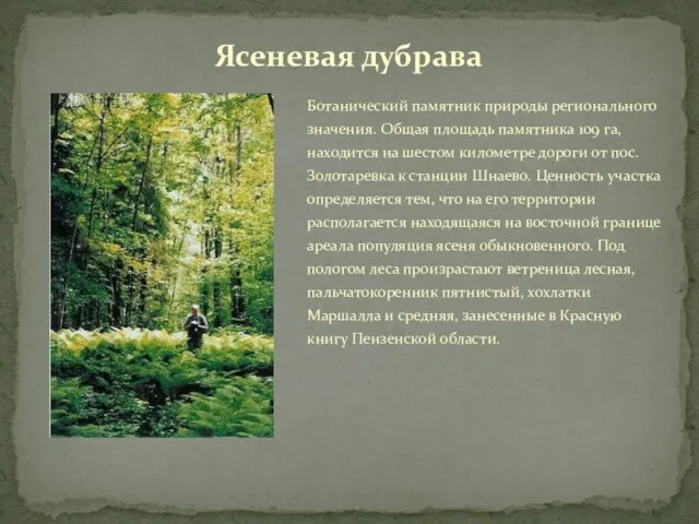 Ботанический памятник природы регионального значения. Общая площадь памятника 109 га, находится