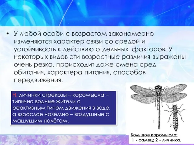 У любой особи с возрастом закономерно изменяются характер связи со средой