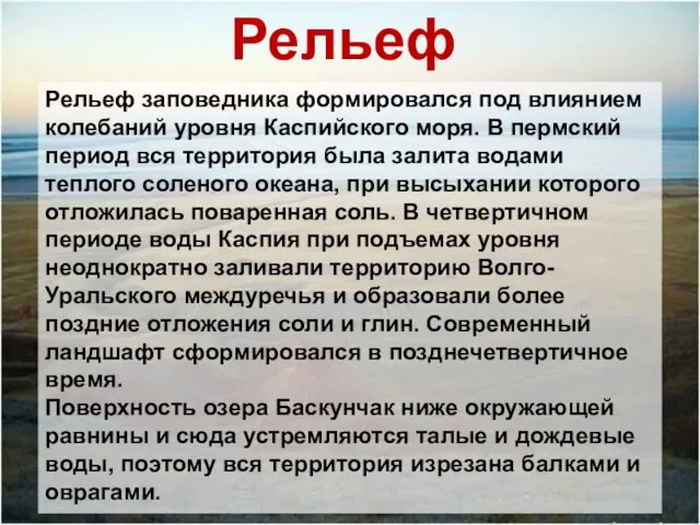 Рельеф Рельеф заповедника формировался под влиянием колебаний уровня Каспийского моря. В