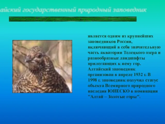 Алтайский государственный природный заповедник является одним из крупнейших заповедников России, включающий