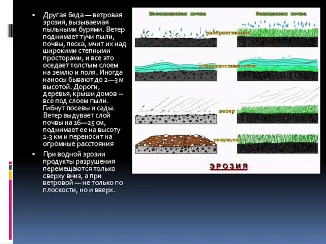 Другая беда — ветровая эрозия, вызываемая пыльными бурями. Ветер поднимает тучи