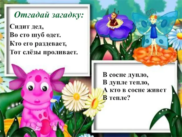 Отгадай загадку: Сидит дед, Во сто шуб одет. Кто его раздевает,