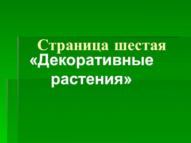 Страница шестая «Декоративные растения»