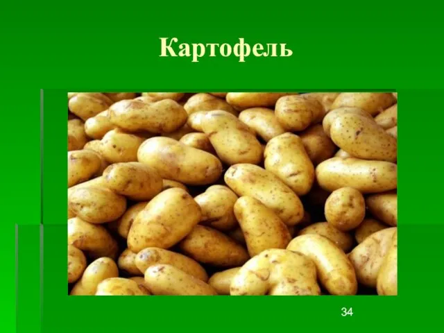 Картофель