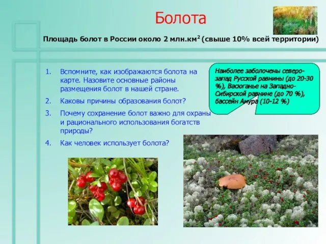 Болота Площадь болот в России около 2 млн.км2 (свыше 10% всей