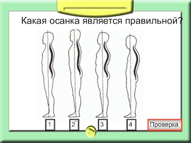 Какая осанка является правильной? 1 2 3 4 Проверка