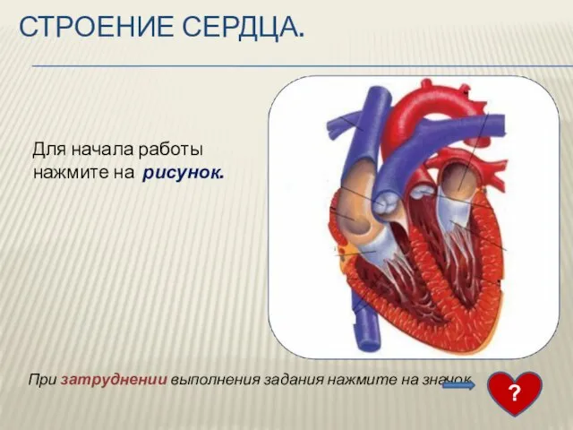 Строение сердца. Для начала работы нажмите на рисунок. При затруднении выполнения задания нажмите на значок. ?