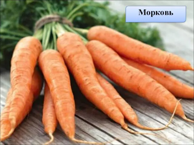 Морковь