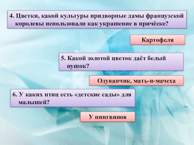 4. Цветки, какой культуры придворные дамы французской королевы использовали как украшение