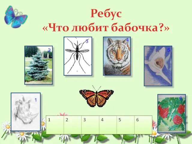 Ребус «Что любит бабочка?» 1 2 3 4 5 6