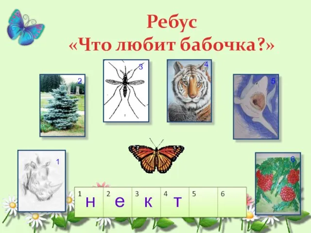 Ребус «Что любит бабочка?» 1 2 3 4 5 6 н е к т