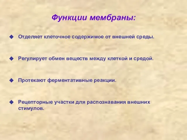 Функции мембраны: Отделяет клеточное содержимое от внешней среды. Регулирует обмен веществ