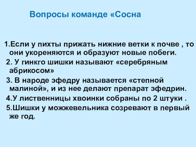 Вопросы команде «Сосна 1.Если у пихты прижать нижние ветки к почве