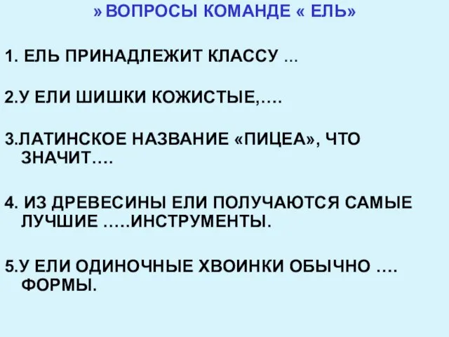 ВОПРОСЫ КОМАНДЕ « ЕЛЬ» 1. ЕЛЬ ПРИНАДЛЕЖИТ КЛАССУ … 2.У ЕЛИ