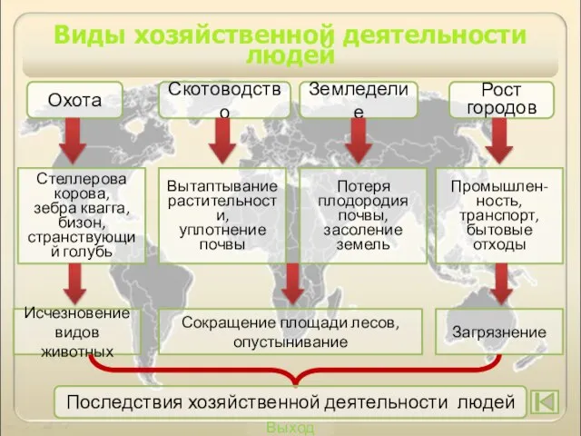 Выход Виды хозяйственной деятельности людей Охота Скотоводство Земледелие Рост городов Стеллерова