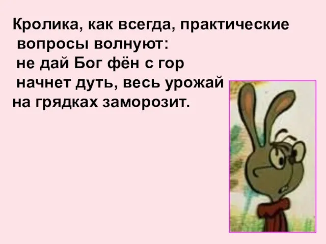 Кролика, как всегда, практические вопросы волнуют: не дай Бог фён с