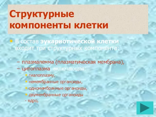 Структурные компоненты клетки В состав эукариотической клетки входит три структурных компонента: