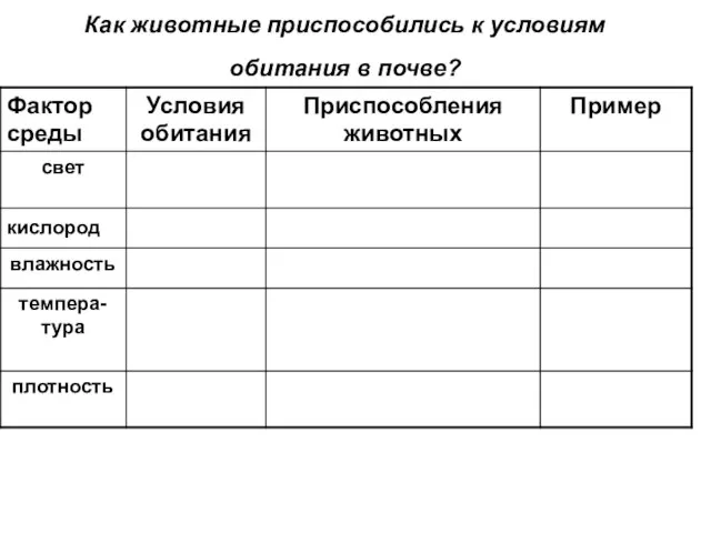 Как животные приспособились к условиям обитания в почве?