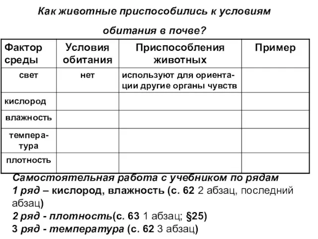 Как животные приспособились к условиям обитания в почве? Самостоятельная работа с